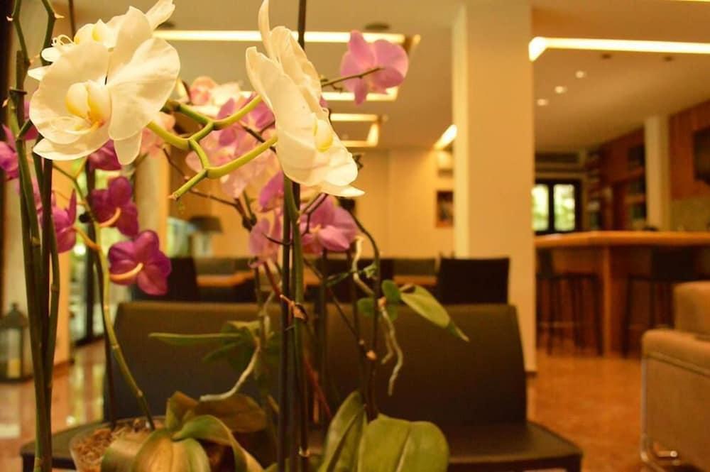 Alexakis Hotel & Spa Loutra Ipatis Exterior photo